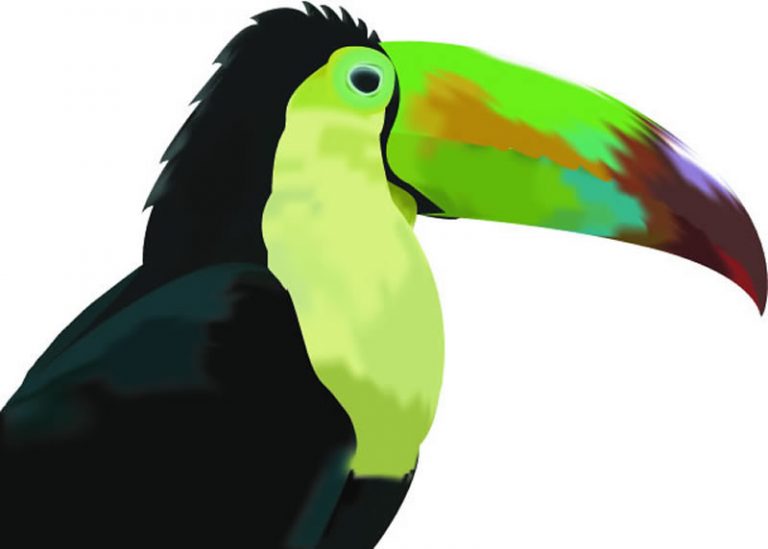 Curso de Illustrator