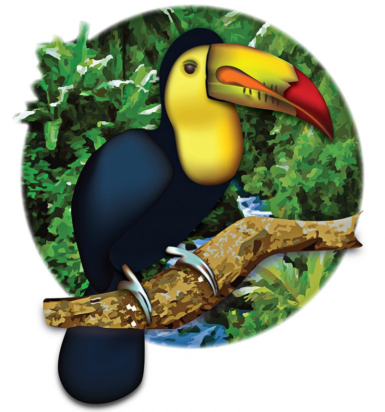 Curso de Illustrator