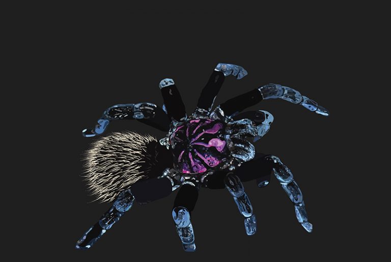 Curso de Illustrator