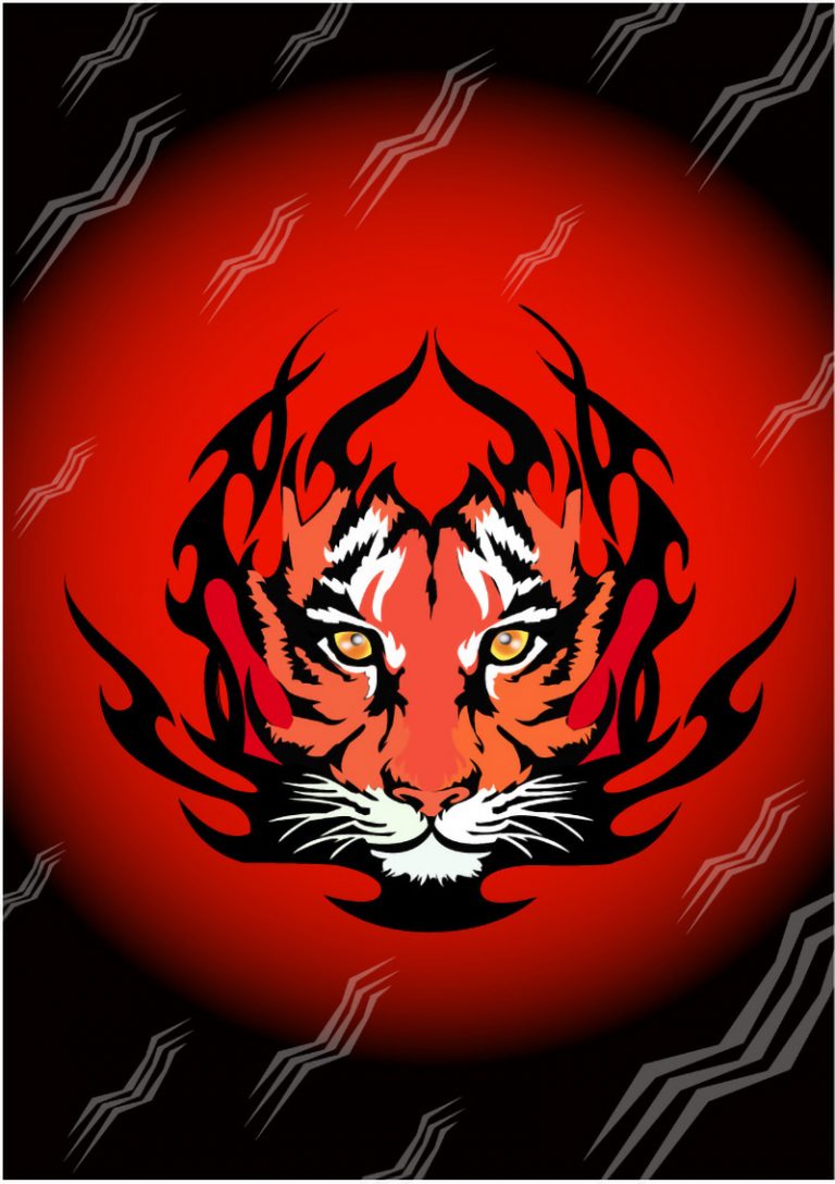 Curso de Illustrator