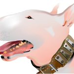 Curso de Illustrator