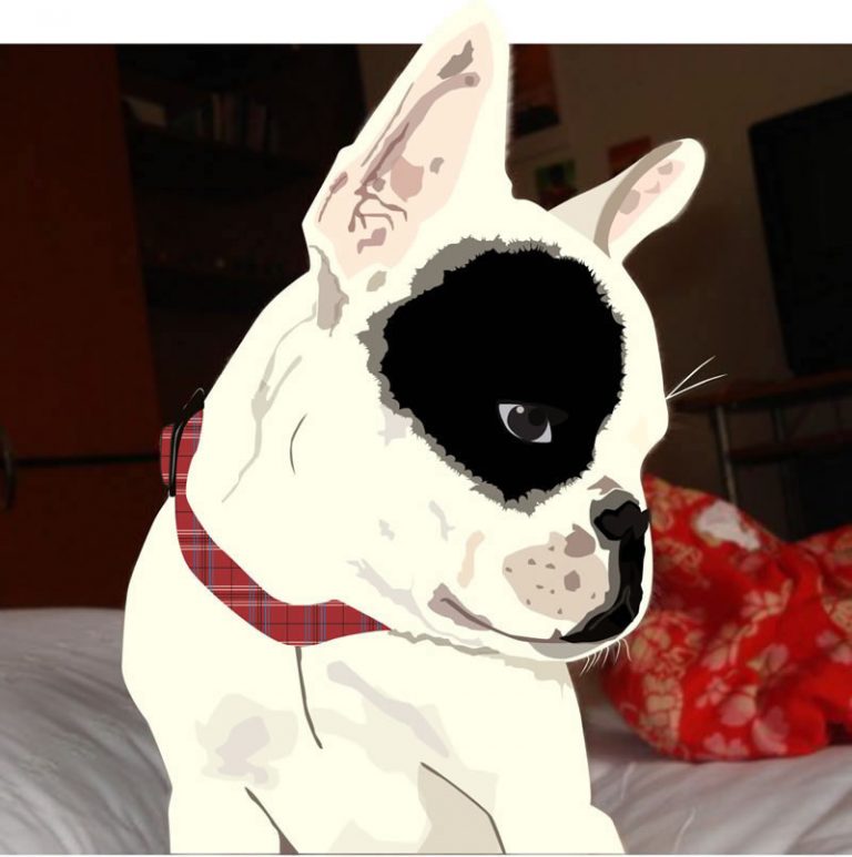 Curso de Illustrator