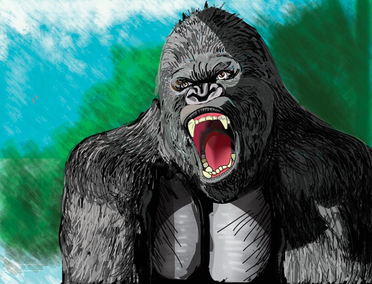 Curso de Illustrator