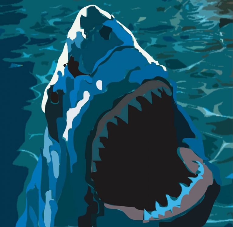 Curso de Illustrator