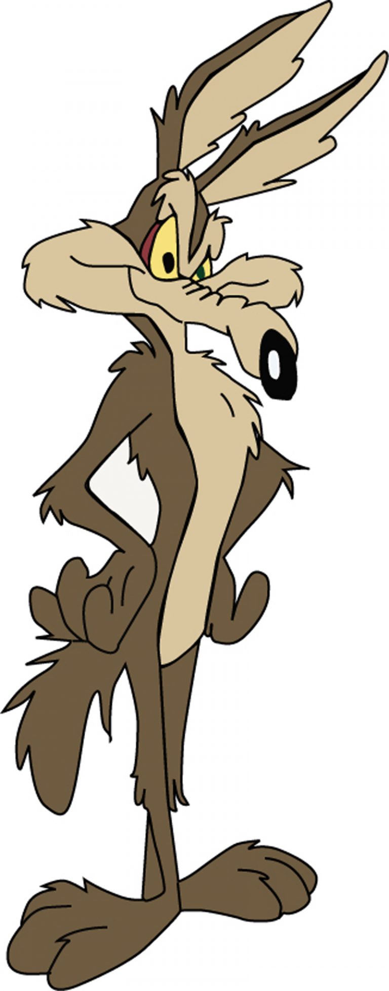 Curso de Illustrator